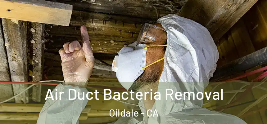 Air Duct Bacteria Removal Oildale - CA