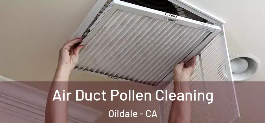  Air Duct Pollen Cleaning Oildale - CA