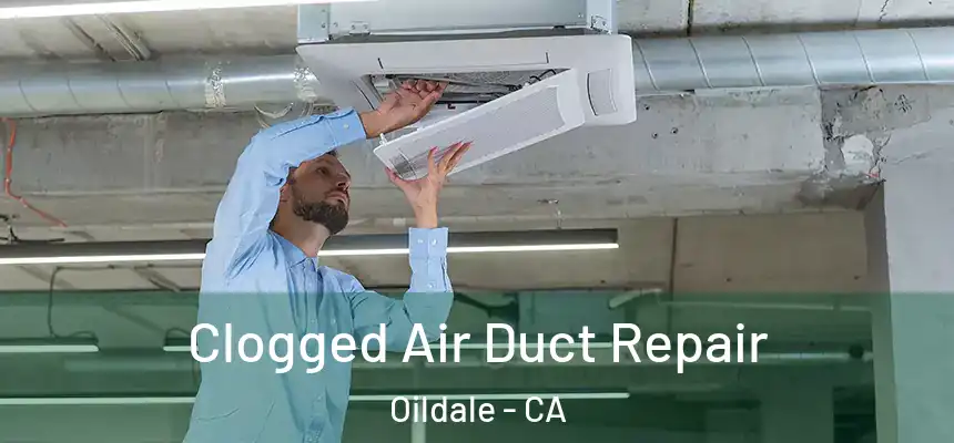  Clogged Air Duct Repair Oildale - CA