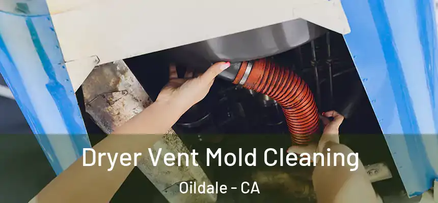  Dryer Vent Mold Cleaning Oildale - CA