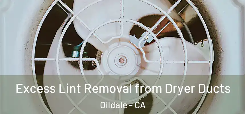  Excess Lint Removal from Dryer Ducts Oildale - CA