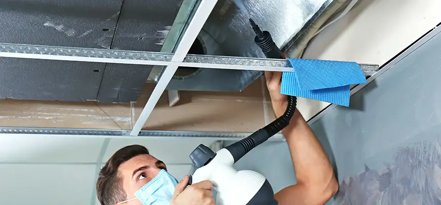 Our Air Duct Rodent Removal Services in Oildale, CA