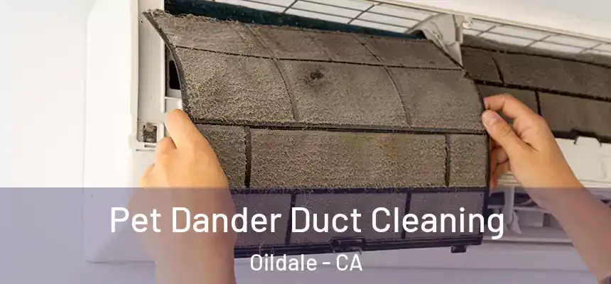  Pet Dander Duct Cleaning Oildale - CA