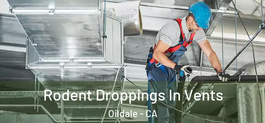  Rodent Droppings In Vents Oildale - CA