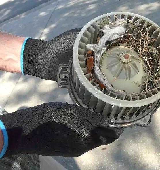 About Air Duct Rat Removal in Oildale, CA