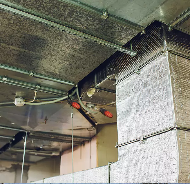 Why Homeowners & Businesses Trust Us in Oildale, CA?