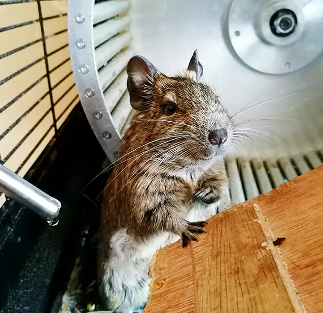 Why Homeowners & Businesses Trust Us Oildale, CA