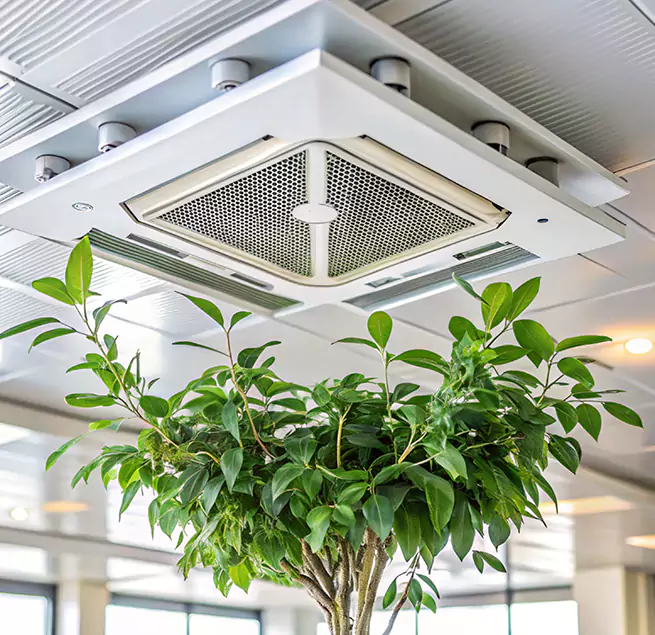 Why Homeowners & Businesses Trust Us in Oildale, CA?